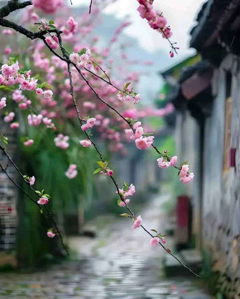 一花一世界，一念一菩提，愿你淡淡喜欢，随遇而安-神人佛-善无痕蛇无泪