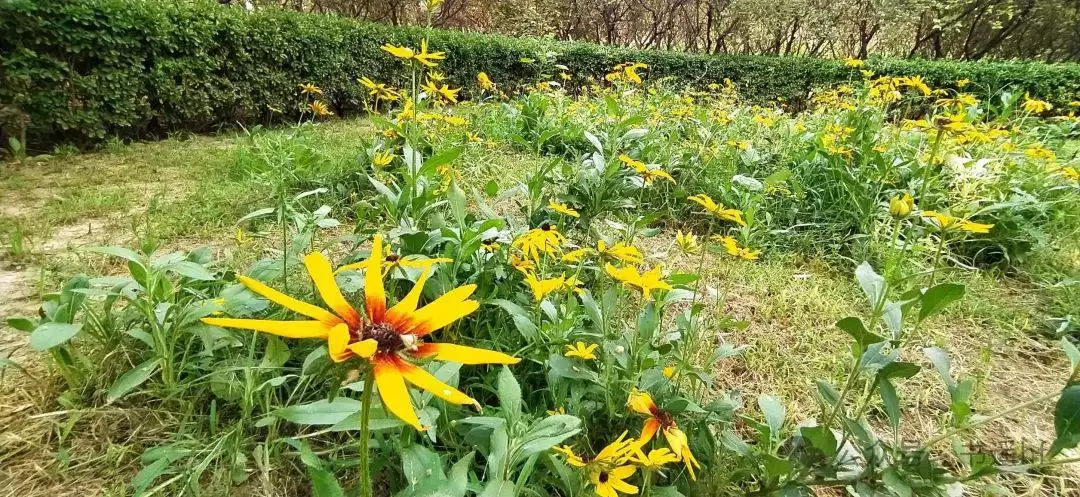 二婚:没房没车没钱，只为凑在一起作伴，就图这个？-神人佛-善无痕蛇无泪