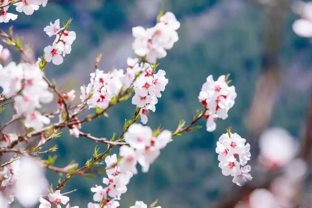 “家有三人，必有灾祸”：一个家庭里有这三种人，注定家道衰败-神人佛-善无痕蛇无泪