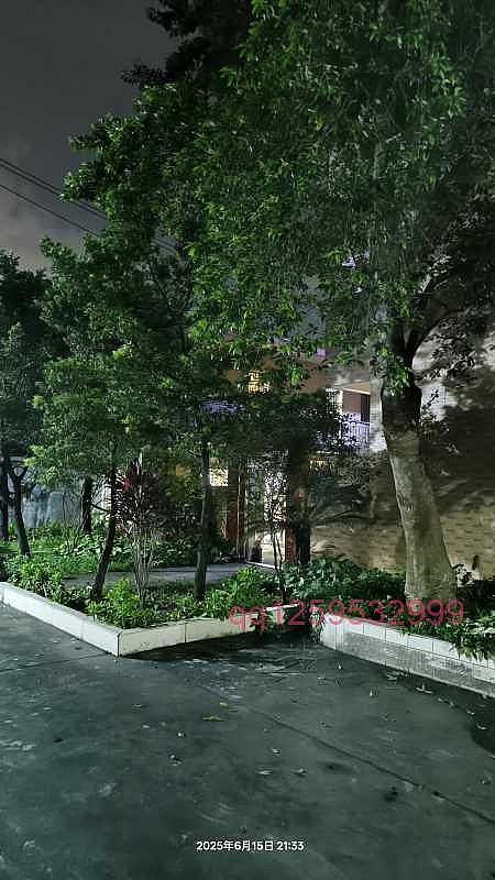 夜景更美-神人佛-善无痕蛇无泪