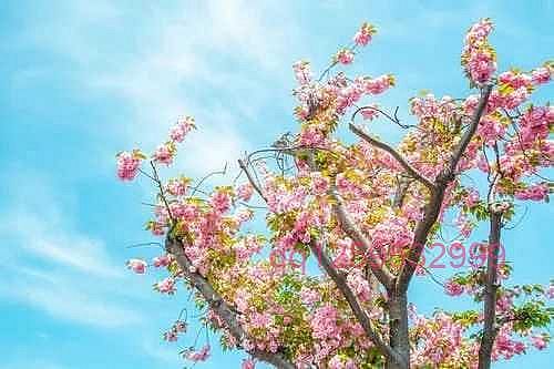 男人开始这样“称呼”你，多半是不爱你了-神人佛-善无痕蛇无泪