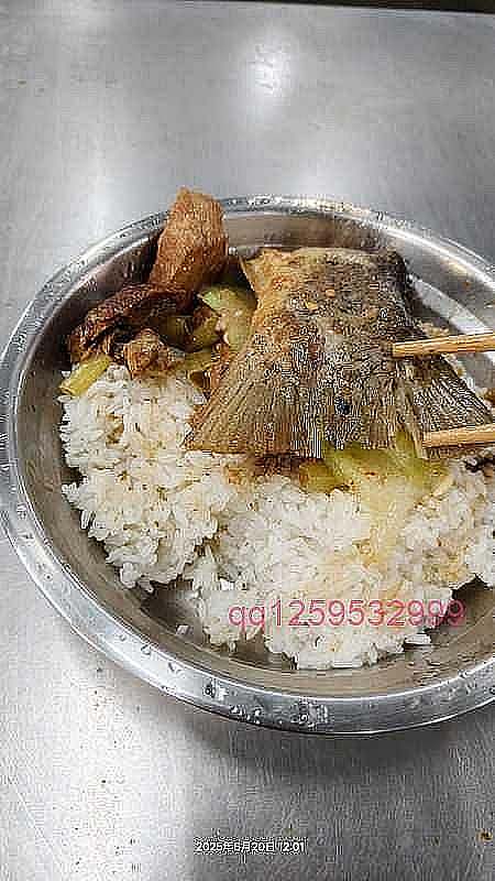 今中午的菜，大鱼大肉的。-神人佛-善无痕蛇无泪