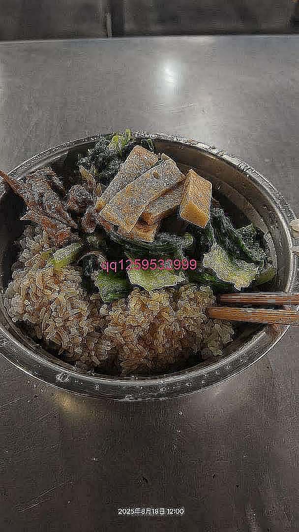 中午的饭加晚上的饭-神人佛-善无痕蛇无泪