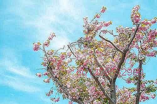 男人开始这样“称呼”你，多半是不爱你了-神人佛-善无痕蛇无泪