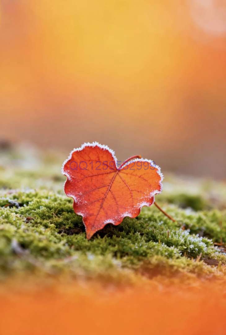 “男人无能，一看便知”：没出息的男人，离不开这三句话-神人佛8客