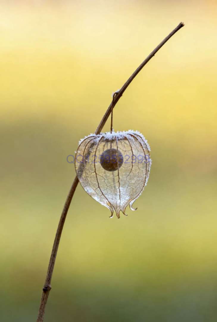 图片[4]-“男人无能，一看便知”：没出息的男人，离不开这三句话-神人佛8客