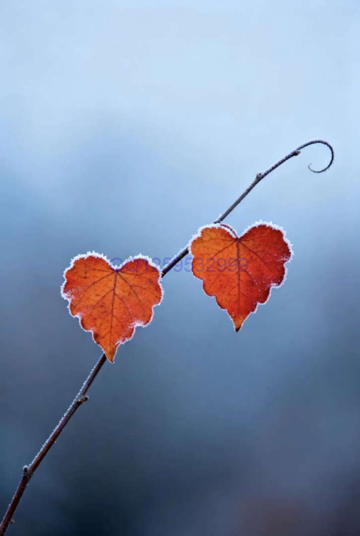 图片[2]-“男人无能，一看便知”：没出息的男人，离不开这三句话-神人佛8客