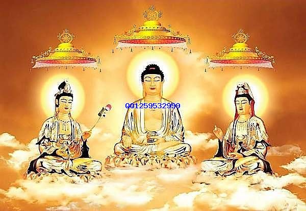 39a7b950bbc97a5bcdcf2abb6b684629