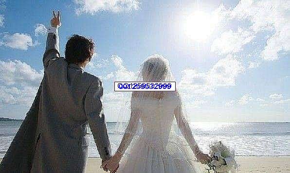 a92d2468595e4a3c9fe37febaad13c66