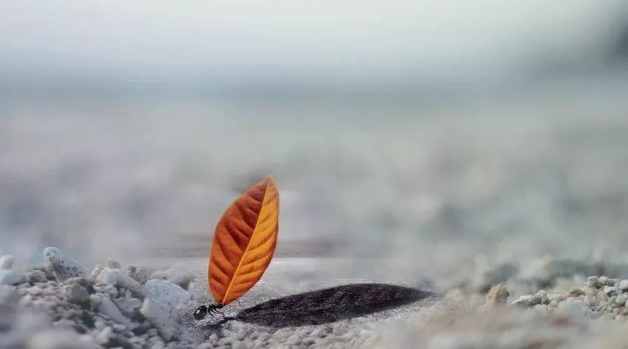 一天，一月，一年，一生（精辟）-神人佛-善无痕蛇无泪