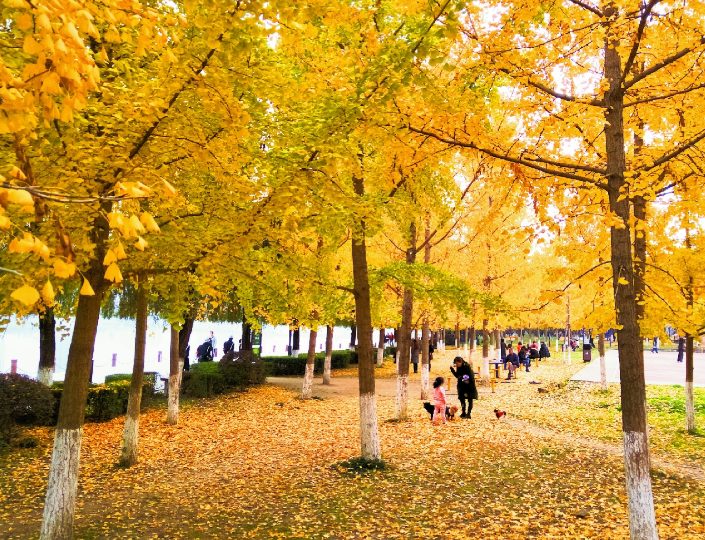 wechat_633d47fbf36fb25c94fcc160cf0ec42f