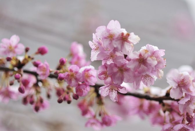 wechat_6f83633a28eb7a18813ae548e1972c90