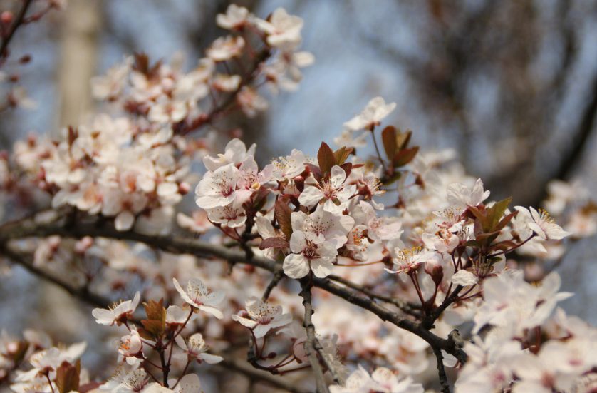 wechat_9007d322059e1b8ba873b4b34b4cc337