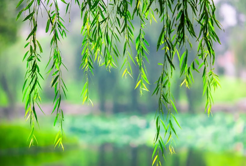 wechat_a249dedb4728faff2d5d9a4cf4cca8b9