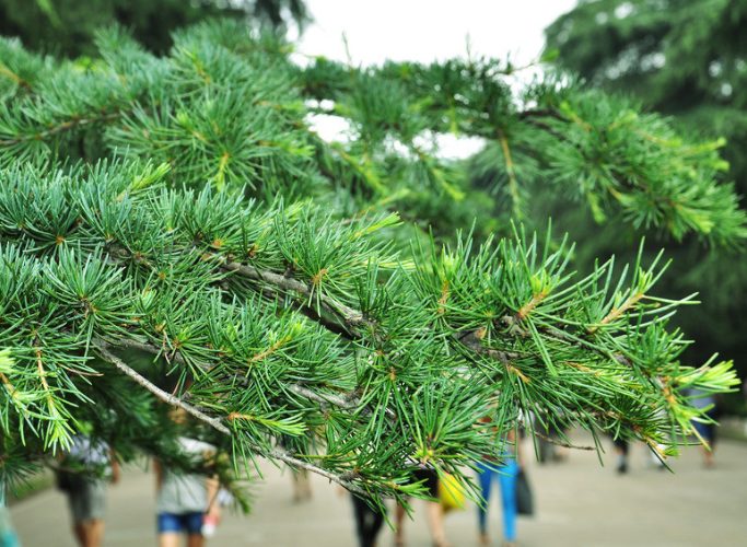 wechat_c1f223baf78ba5b13d1170818dd3c1d0