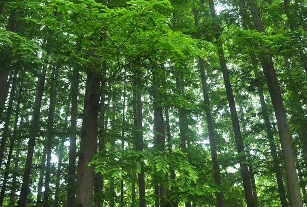 wechat_dba053dc10d92be1d26d4b1516e3b5bd