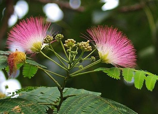 wechat_e2a2ec470b474877de6dbc3febd0a0ad