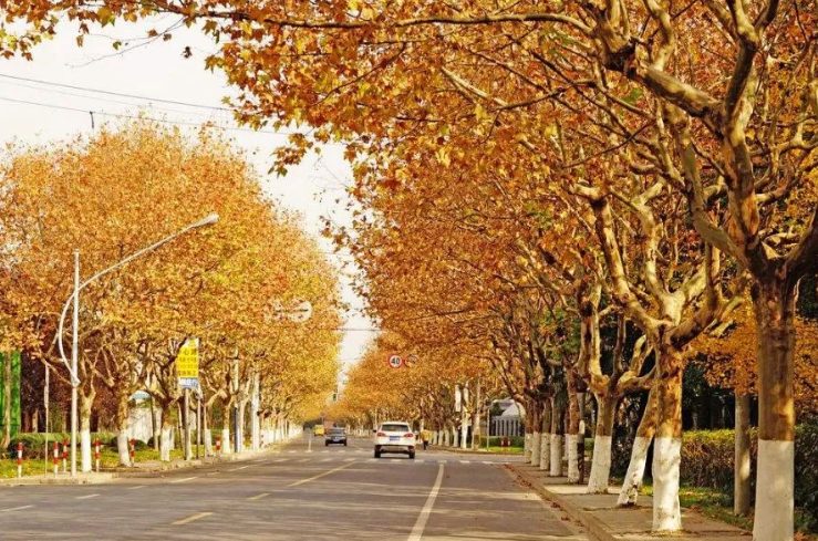 wechat_e4e1b6f8ca44097bad83c691e244937f