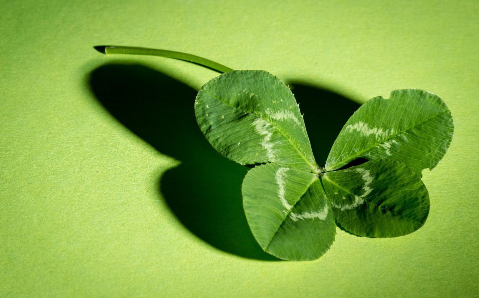 像草一样去做人!(说的真好)