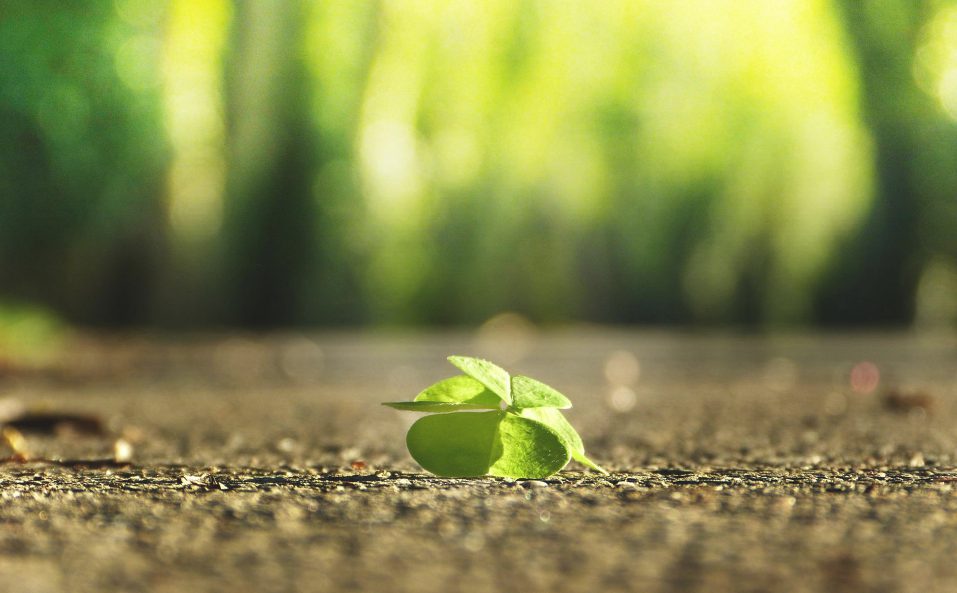 像草一样去做人!(说的真好)