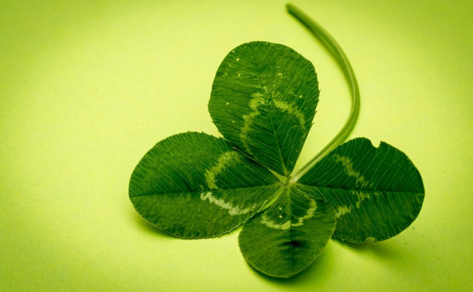 像草一样去做人!(说的真好)