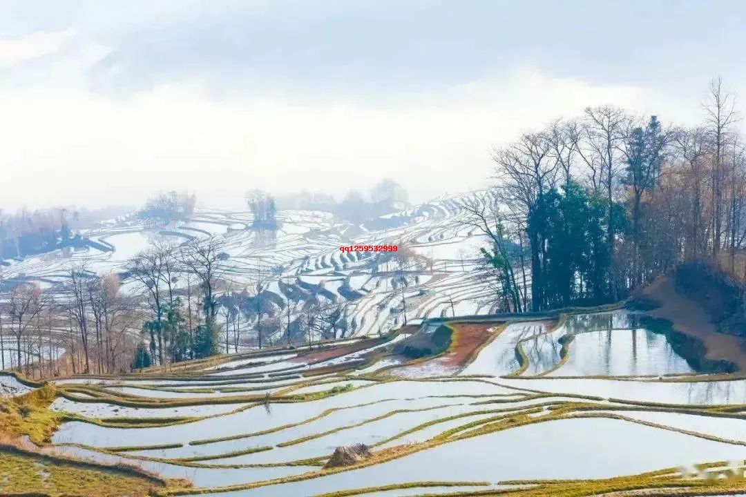 句子很短,道理很深!(精辟)