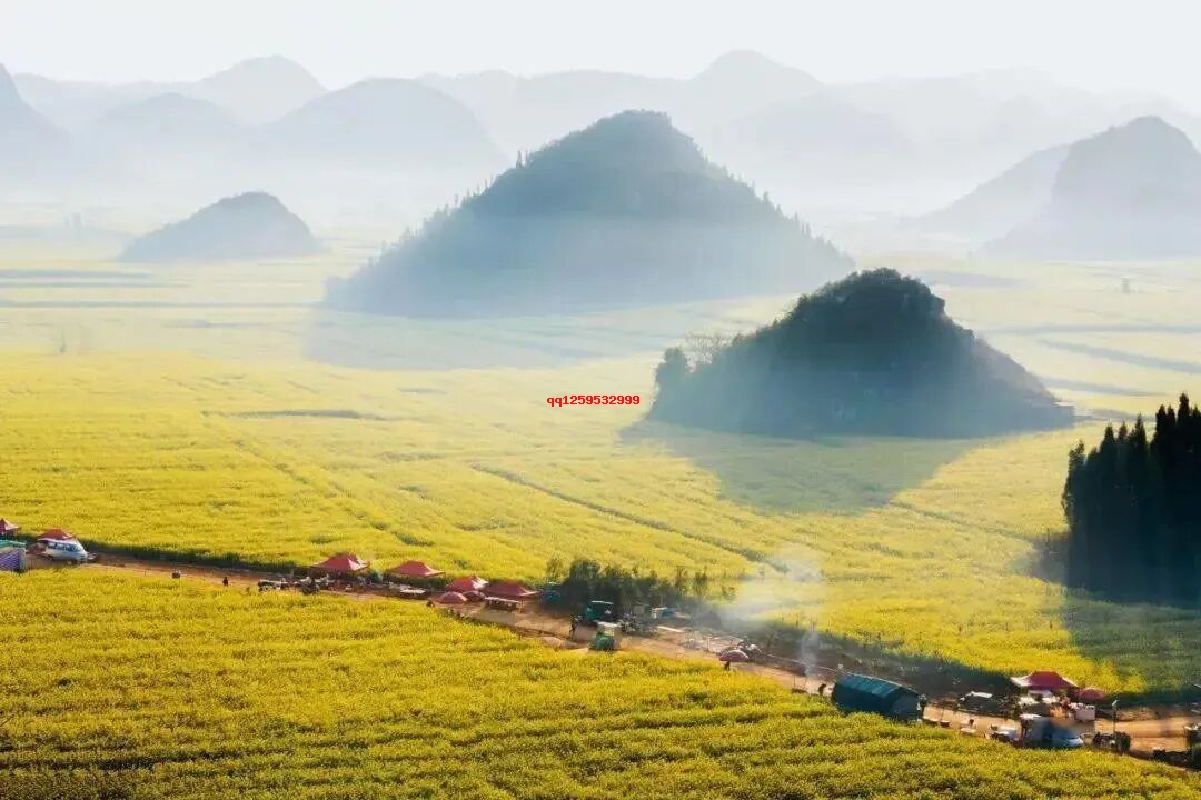 句子很短,道理很深!(精辟)