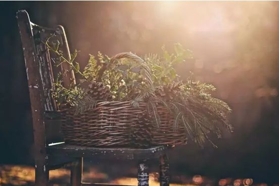 有一种努力叫：靠自己