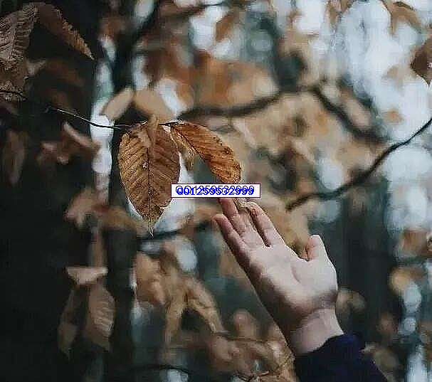 终身受益的五句话！-神人佛-善无痕蛇无泪